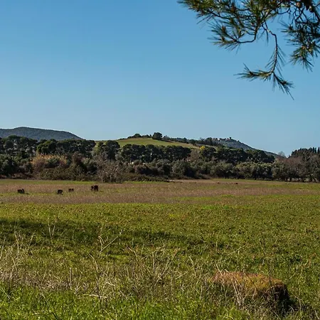 Poggio All'agnello Sport & Active Holidays Üdülőpark 3*